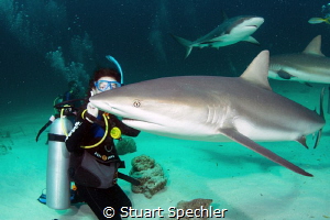 Young diver with photobomber.  Awesome experience! by Stuart Spechler 